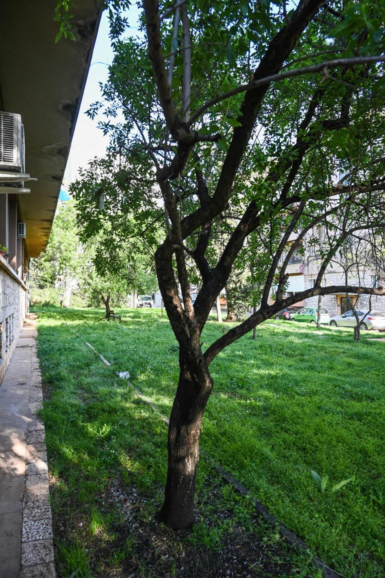 Appartement 4-star Design Bubamara